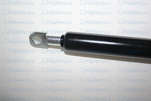 Gas Spring, boot/cargo area