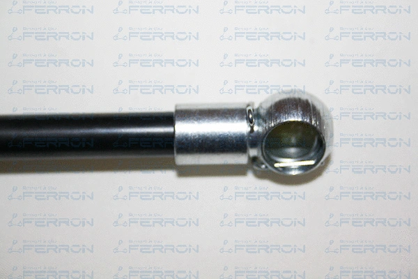 Gas Spring, boot/cargo area