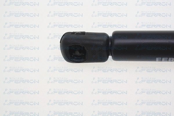 Gas Spring, bonnet
