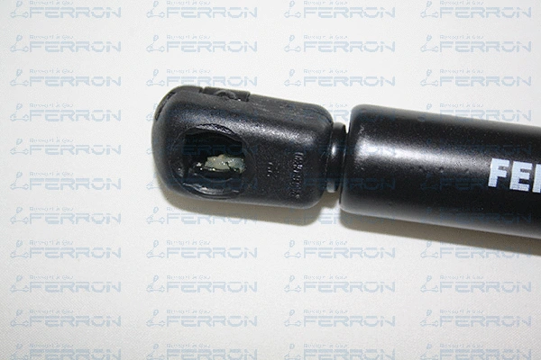 Gas Spring, boot/cargo area