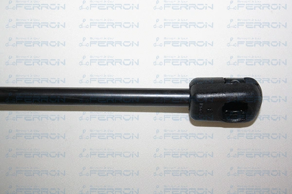 Gas Spring, boot/cargo area