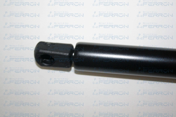 Gas Spring, boot/cargo area