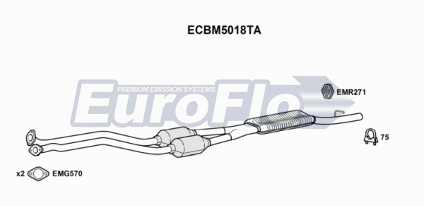 Catalytic Converter (ECBM5018TA)