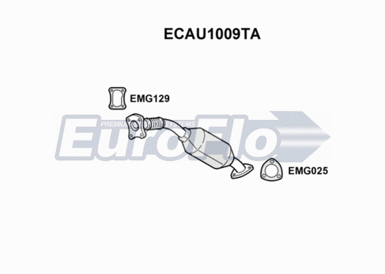 Catalytic Converter (ECAU1009TA)