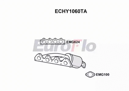 Catalytic Converter (ECHY1060TA)