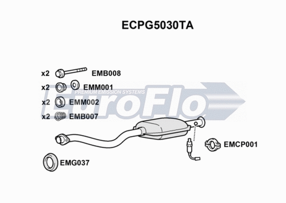 Catalytic Converter (ECPG5030TA)