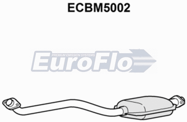 Catalytic Converter (ECBM5002)