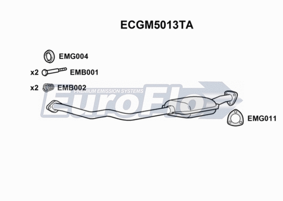 Catalytic Converter (ECGM5013TA)