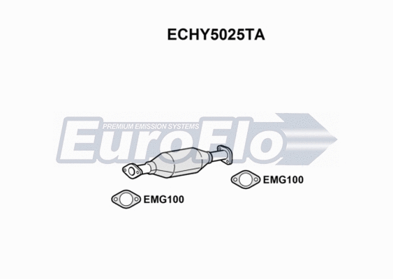 Catalytic Converter (ECHY5025TA)