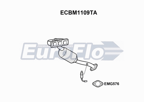 Catalytic Converter (ECBM1109TA)