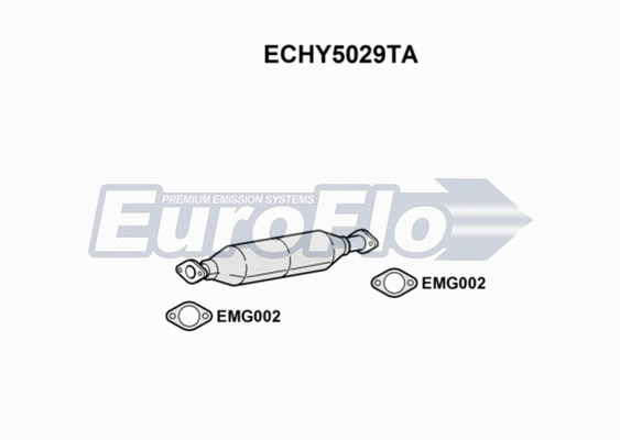 Catalytic Converter (ECHY5029TA)