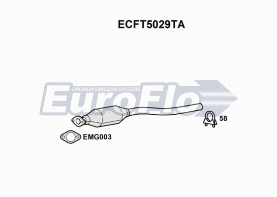 Catalytic Converter (ECFT5029TA)