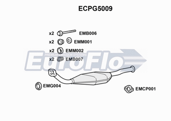 Catalytic Converter (ECPG5009)