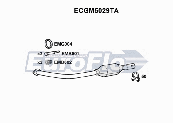 Catalytic Converter (ECGM5029TA)