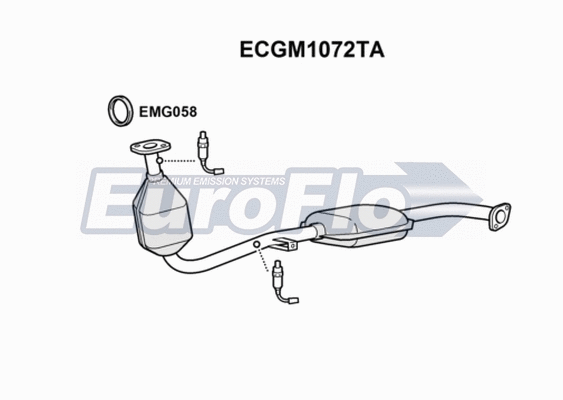 Catalytic Converter (ECGM1072TA)