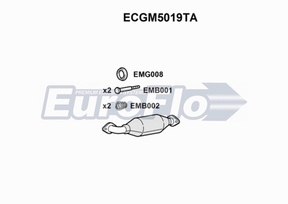 Catalytic Converter (ECGM5019TA)