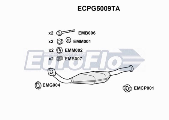 Catalytic Converter (ECPG5009TA)