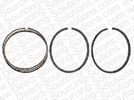 Piston Ring Kit (201517)