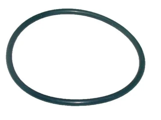 Seal Ring (202383)