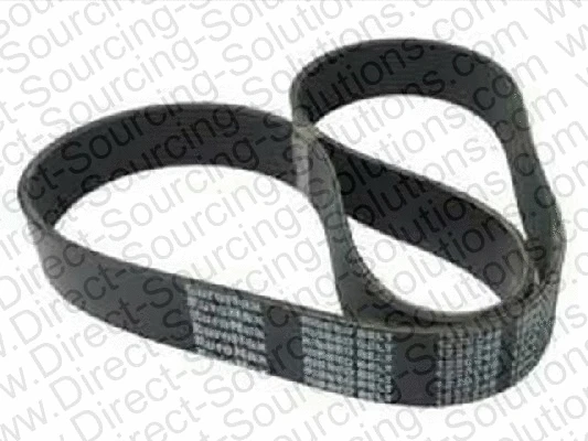 V-Ribbed Belt (208565)