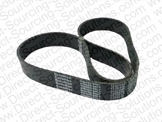V-Ribbed Belt (202351)
