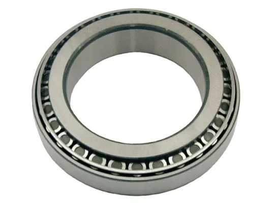Bearing, differential (170047)