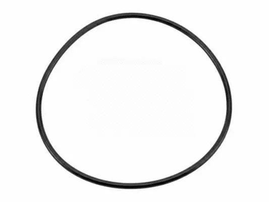 Seal Ring (207516)