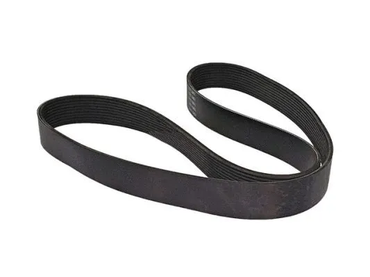 V-Ribbed Belt (120009)