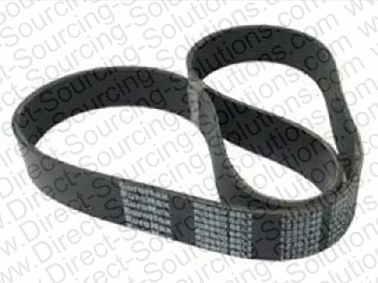 V-Ribbed Belt (208664)