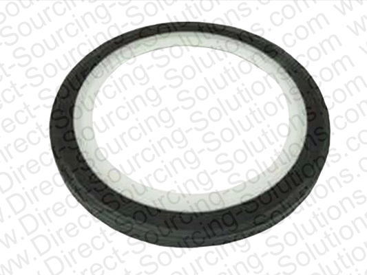 Shaft Seal, crankshaft (101581OEM)