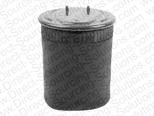 Bellow, air suspension (170029OEM)