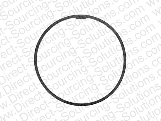 Seal Ring, wheel hub (105032ALT)