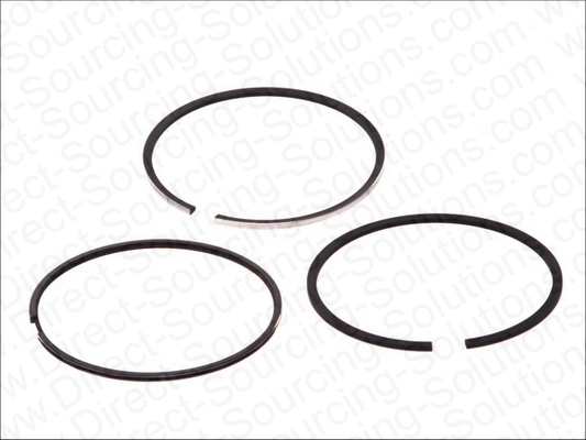 Piston Ring Kit (310045)