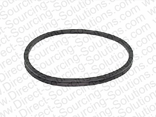 Seal Ring, steering knuckle (leaf spring hanger) (170018)