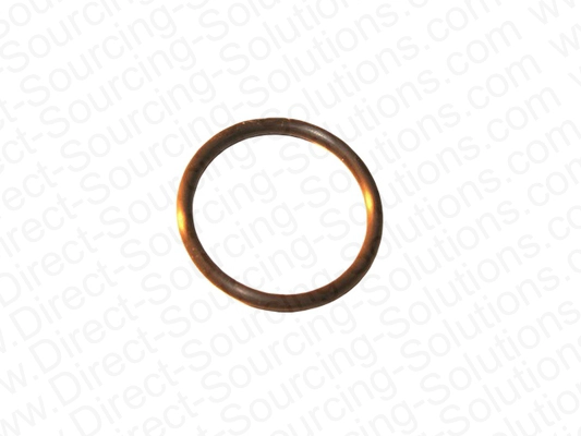 Seal Ring (201796)
