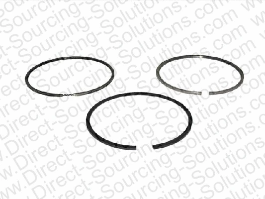 Piston Ring Kit (201725)