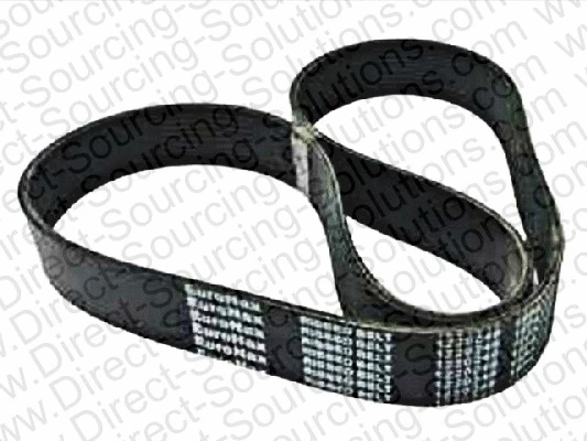 V-Ribbed Belt (202193)