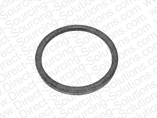 Shaft Seal, crankshaft (610071)