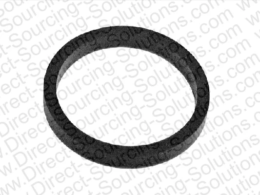 Seal Ring, coolant pipe (202020)