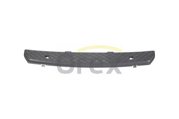 Foot/Running Board (166215)