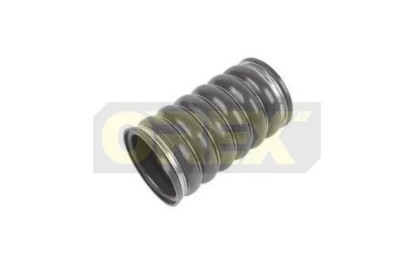 Radiator Hose (550008)