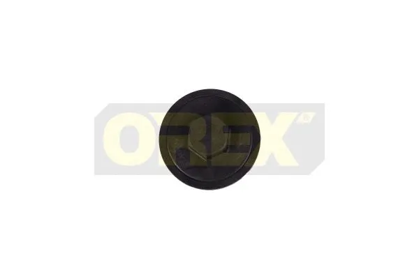 Cover, fuel filter (190002)