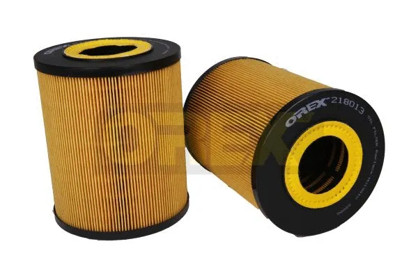 Oil Filter (218013)