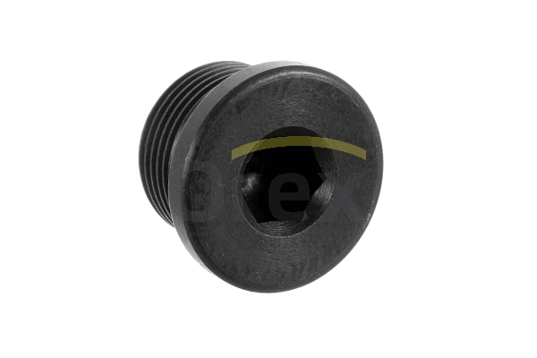 Screw Plug, crankcase (201010)