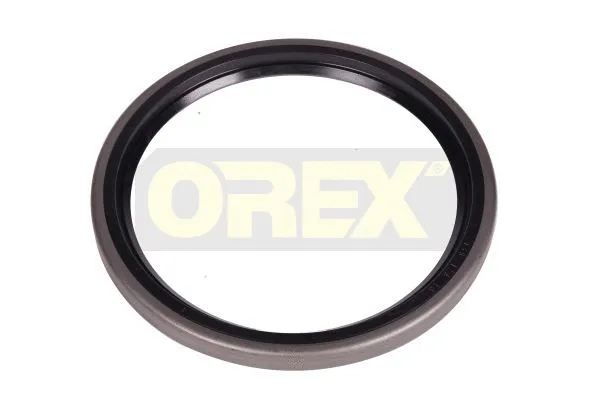 Seal Ring, wheel hub planetary gear (197006)