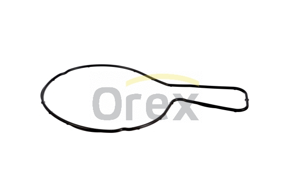 Gasket, water pump (316005)