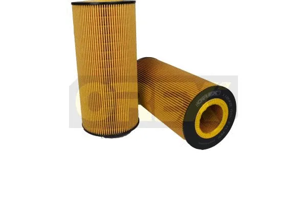 Oil Filter (118002)