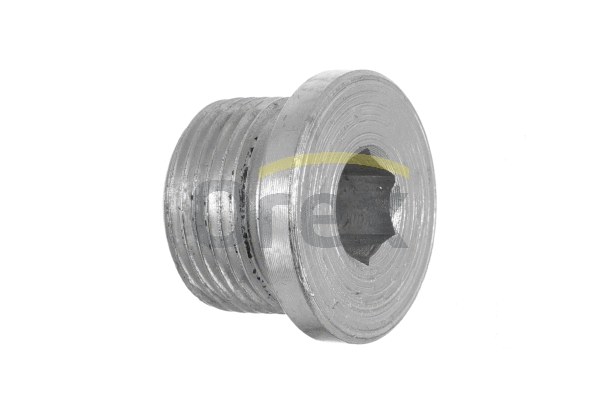 Screw Plug, oil sump (101084)