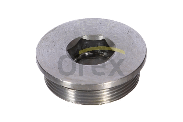 Plug, rocker arm shaft mounting bore (310005)