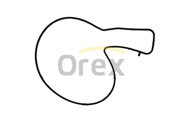 Gasket, water pump (316002)